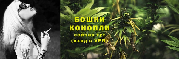 молекула духа Пестово