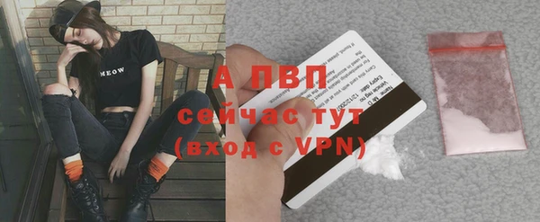молекула духа Пестово
