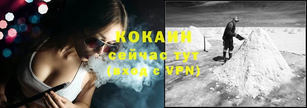 молекула духа Пестово