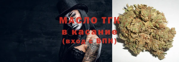 молекула духа Пестово