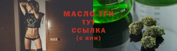 прущие крисы Пересвет