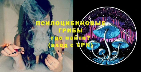 молекула духа Пестово