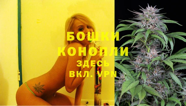 молекула духа Пестово