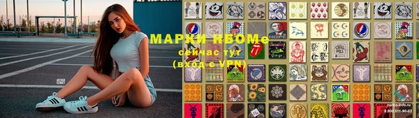 молекула духа Пестово