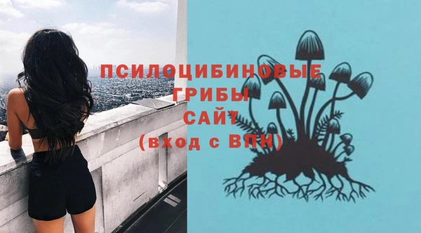 амф Дедовск