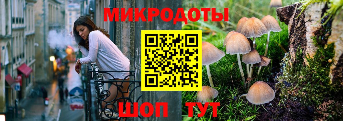 Отрадное  Псилоцибиновые грибы Psilocybe  Псилоцибиновые грибы прущие грибы  Вход с VPN 