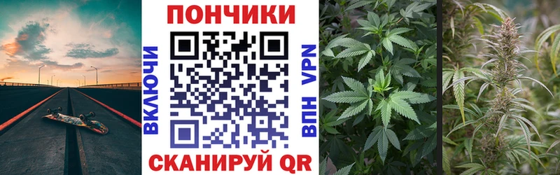 Бошки Шишки семена Отрадное
